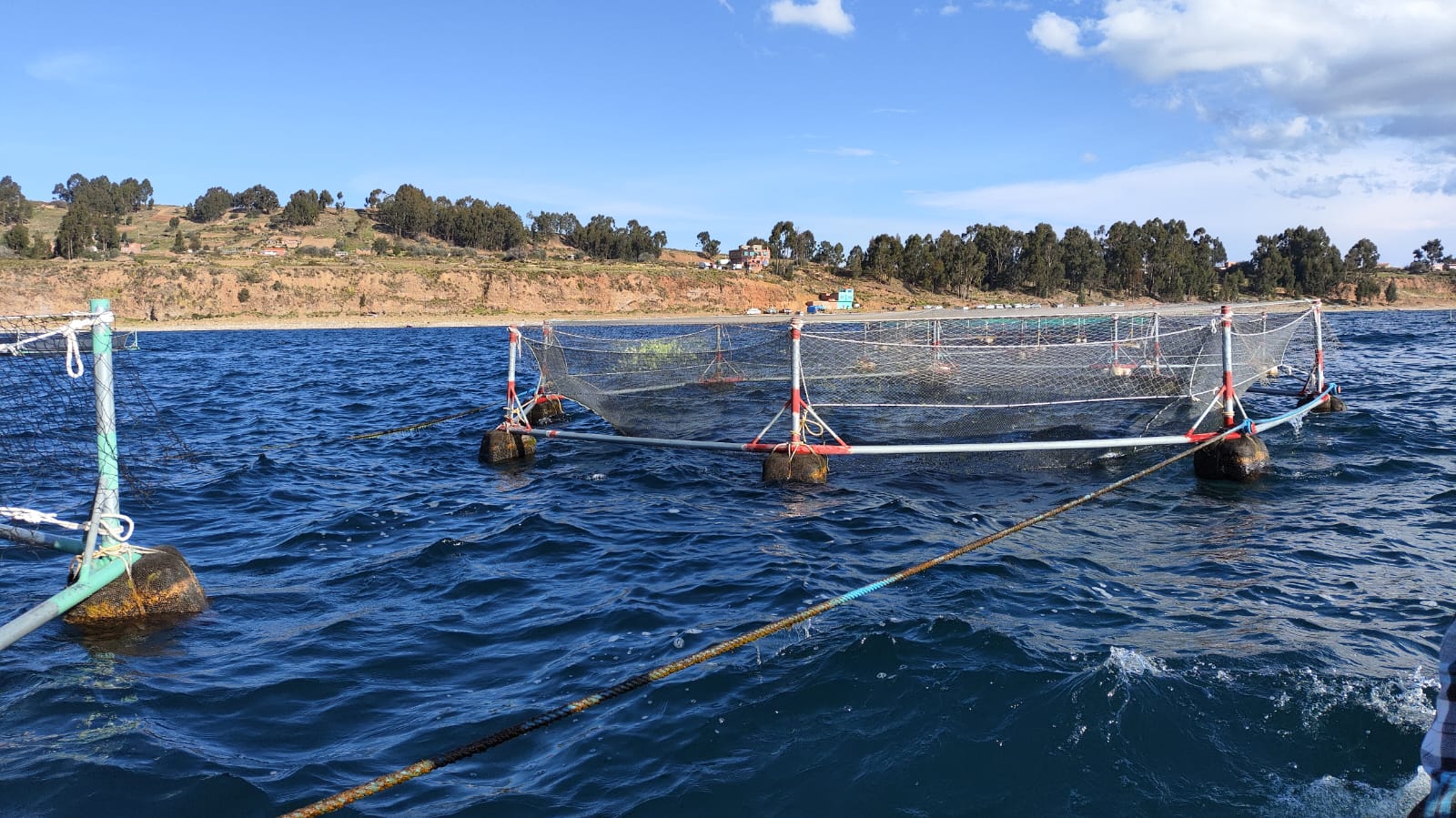 Entrega de jaulas flotantes, equipamiento e insumos para potenciar la producción piscícola. Foto: MDRyT.