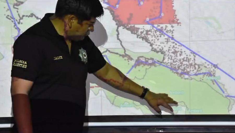 Sobrevuelo en áreas protegidas verifica reducción de coca ilegal y permite planificar acciones 2024