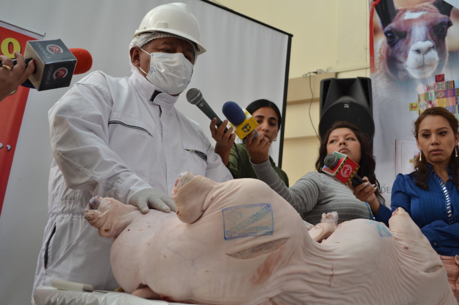 Senasag habilita a nueve mataderos en La Paz y recomienda comprar carne de cerdo con sello