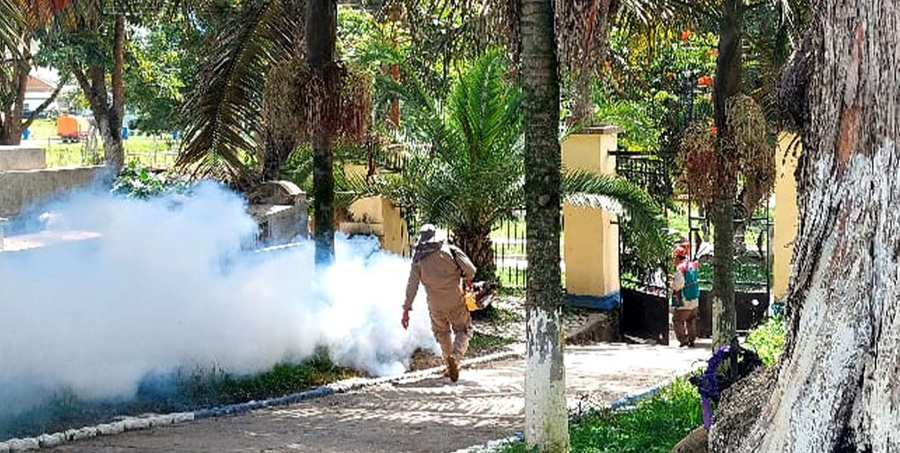 En La Paz detectan 22 casos de fiebre de oropuche, 20 están en Irupana