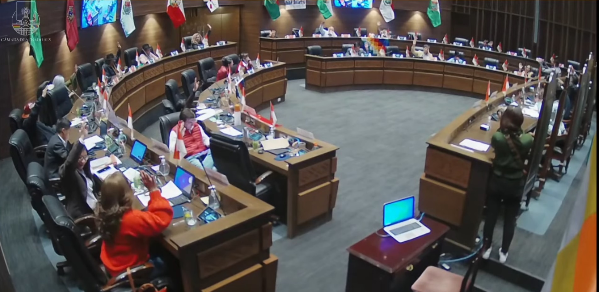 Senado devuelve a Diputados proyecto de 19 contratos mineros, espera su tratamiento en sesión de Asamblea