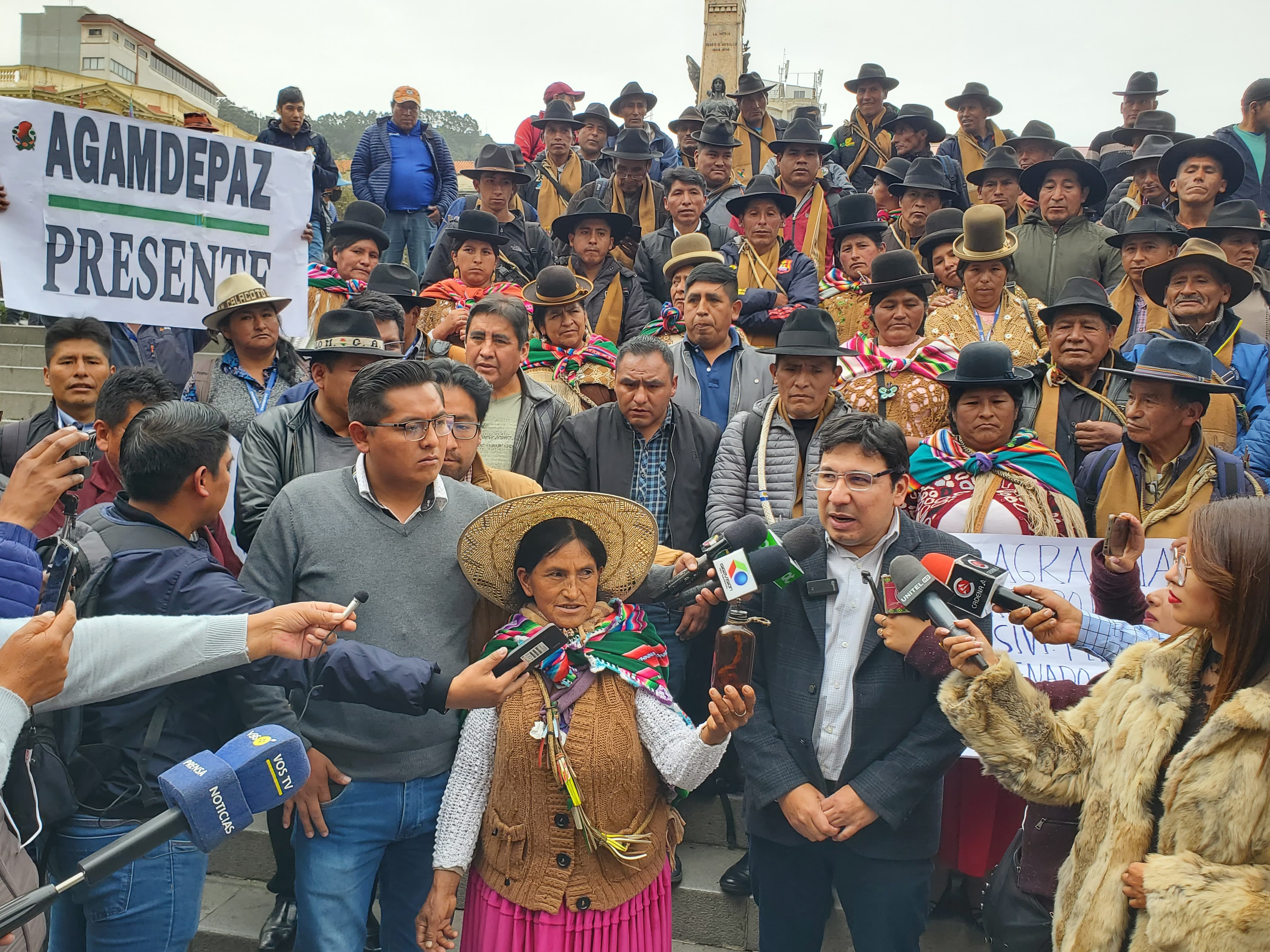 Senado sanciona ley y viabiliza acceso a créditos por $us 325 millones para electrificación en 2.100 comunidades