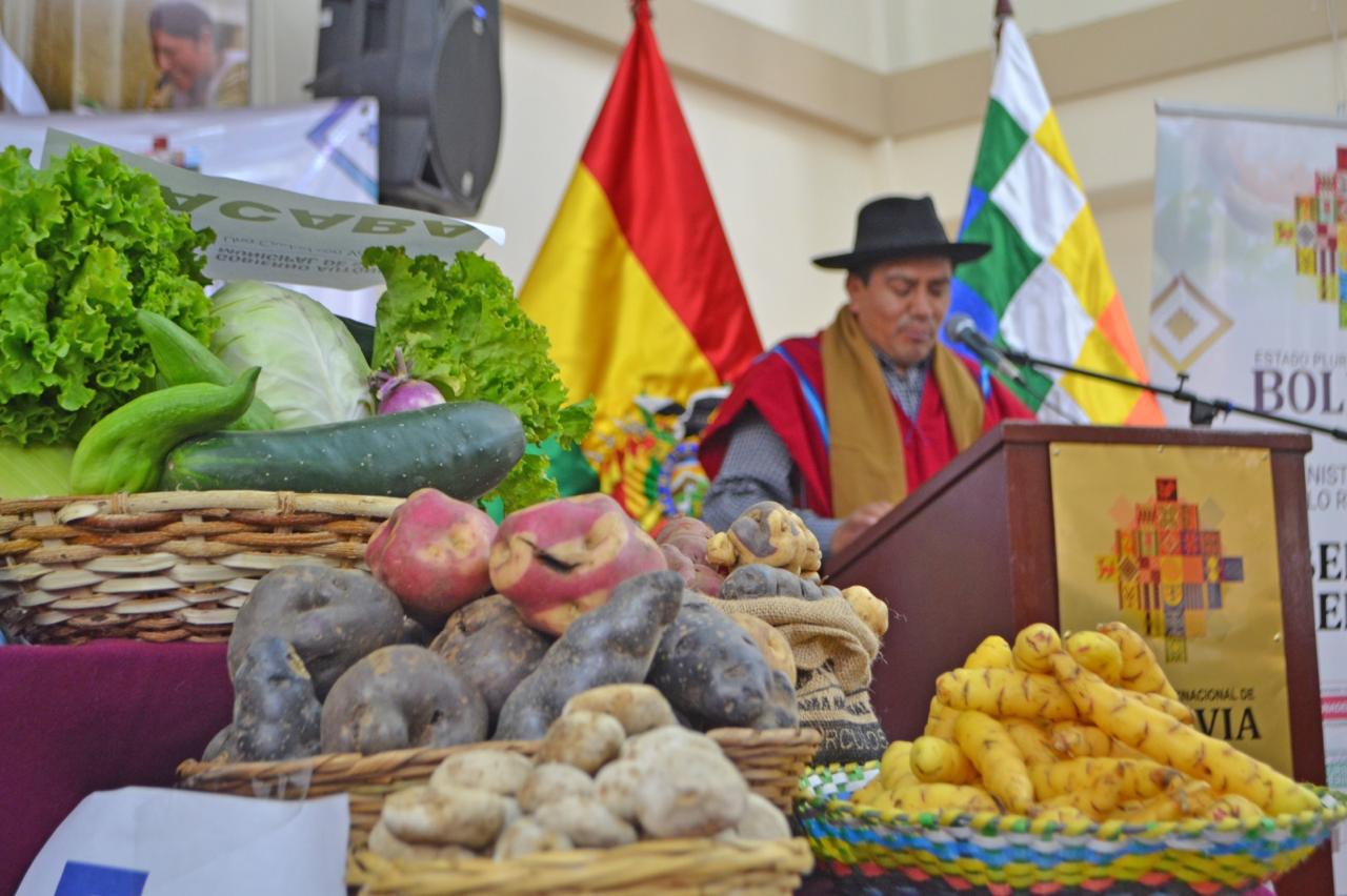 Canalizan Bs 18 millones para fortalecer producción de papa y pescado en nueve municipios