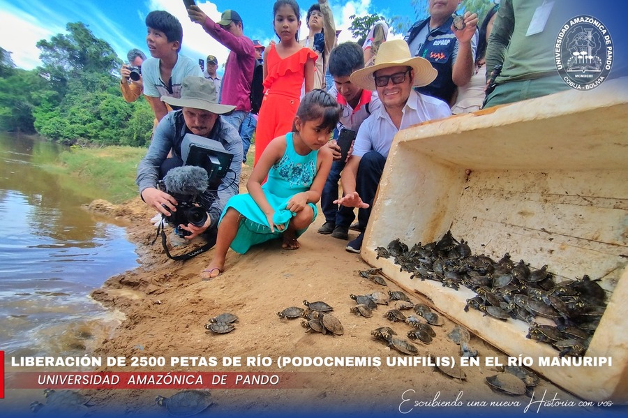 Liberan a 2.500 crías de tortugas del río en la cuenca del Manuripi de Pando