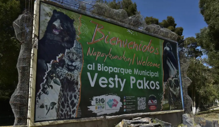 Denuncian la muerte de al menos 53 animales en el bioparque Besty Pakos 