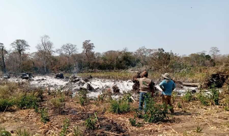 ABT activa 27 procesos penales por quemas e incendios forestales en Santa Cruz y Beni