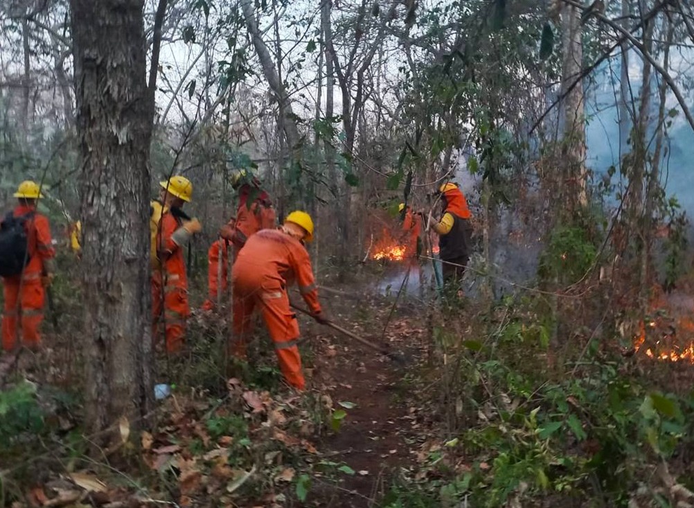 Bomberos forestales combaten ocho incendios en Santa Cruz y Beni 