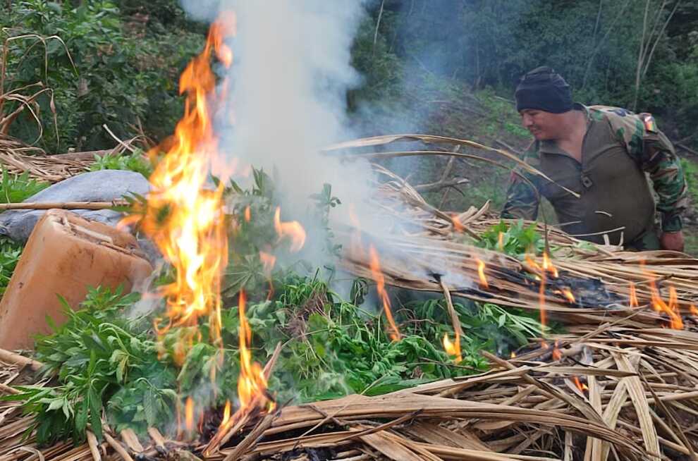 Incineran más de 16 toneladas de marihuana en estado natural descubiertas en La Paz