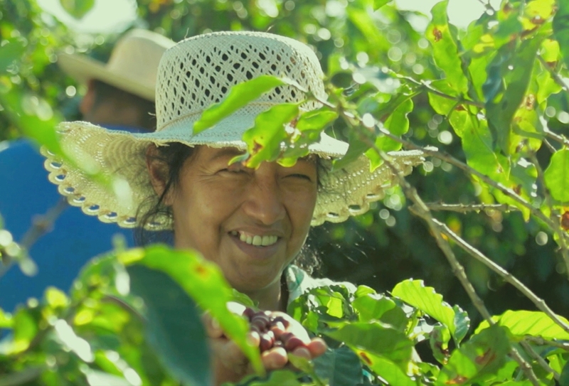 Más de 6.600 unidades productivas contribuyen a la sustitución de importaciones con acceso a Bs 705 millones en créditos