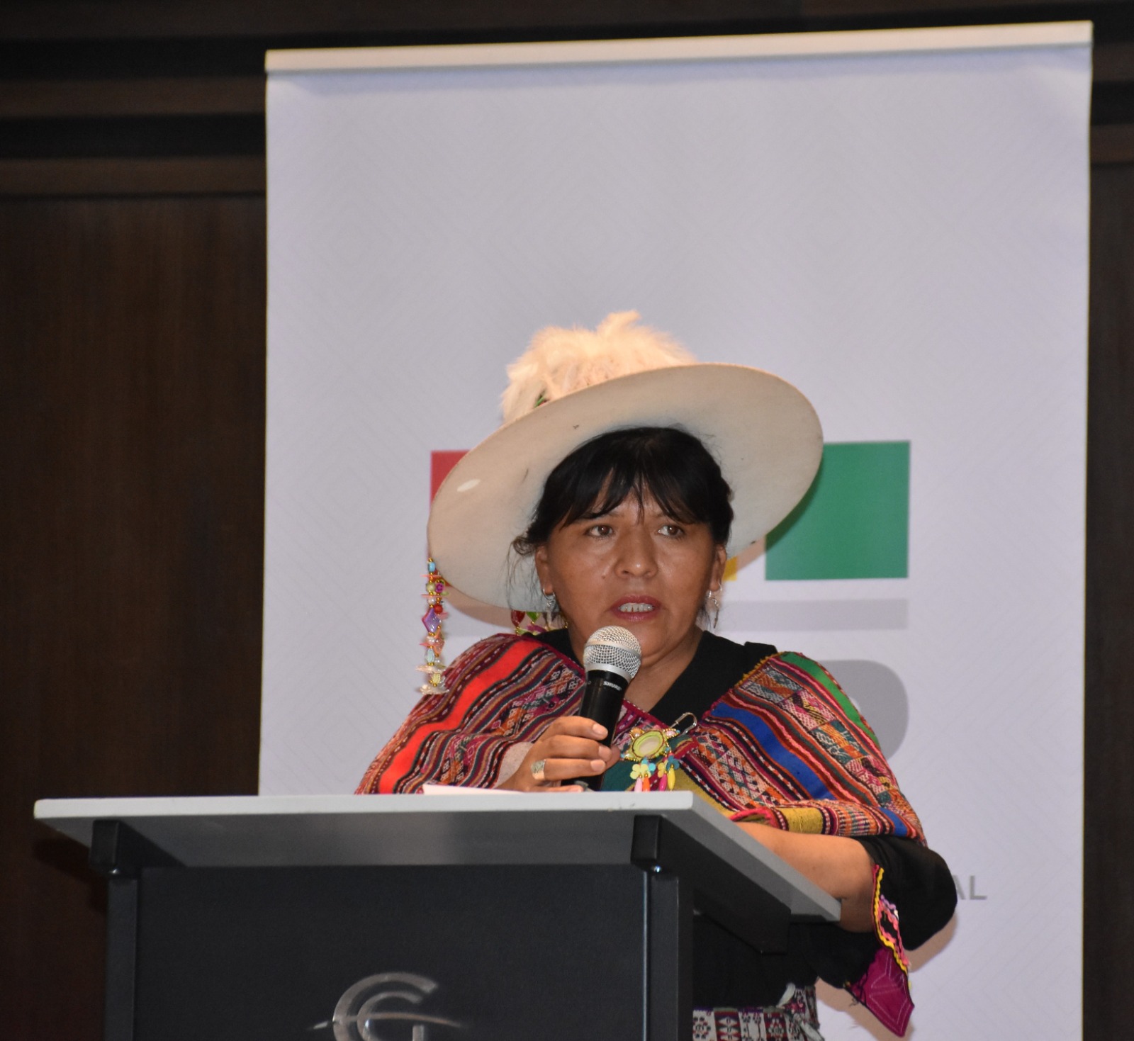 En el TSE saludan sanción de ley que suspende las primarias y se abocan al trabajo de la elección judicial