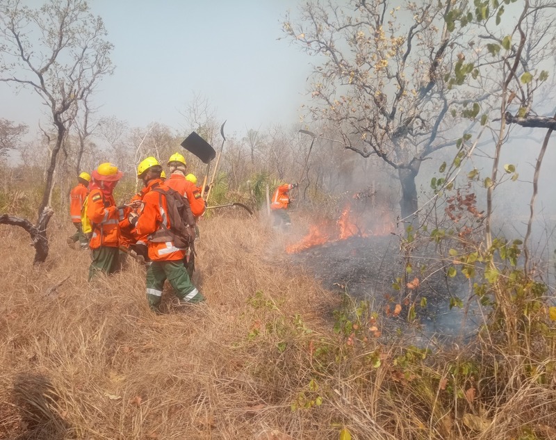 Construyen cortafuegos de 8 kilómetros para evitar que el fuego llegue a tres comunidades en Santa Cruz
