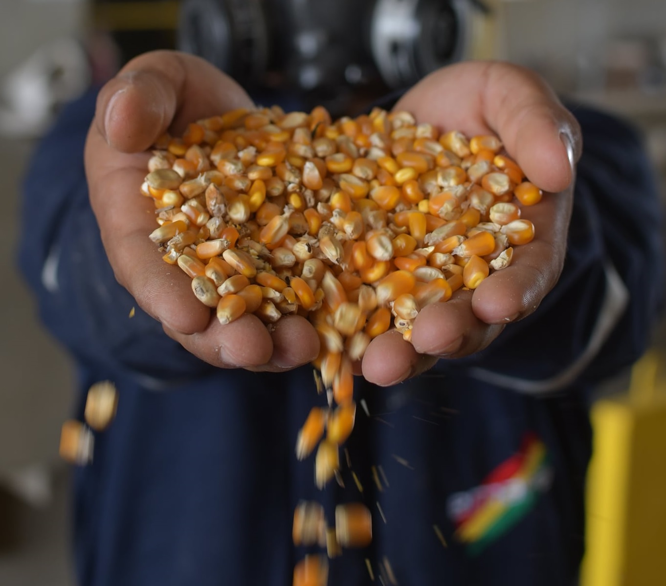 Reservas estratégicas de maíz y arroz de Emapa alcanzan a 372.930 toneladas