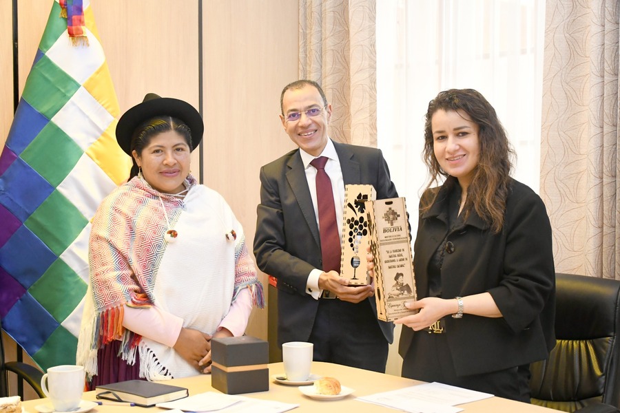 Planifican una exposición itinerante del patrimonio cultural de Bolivia y Egipto