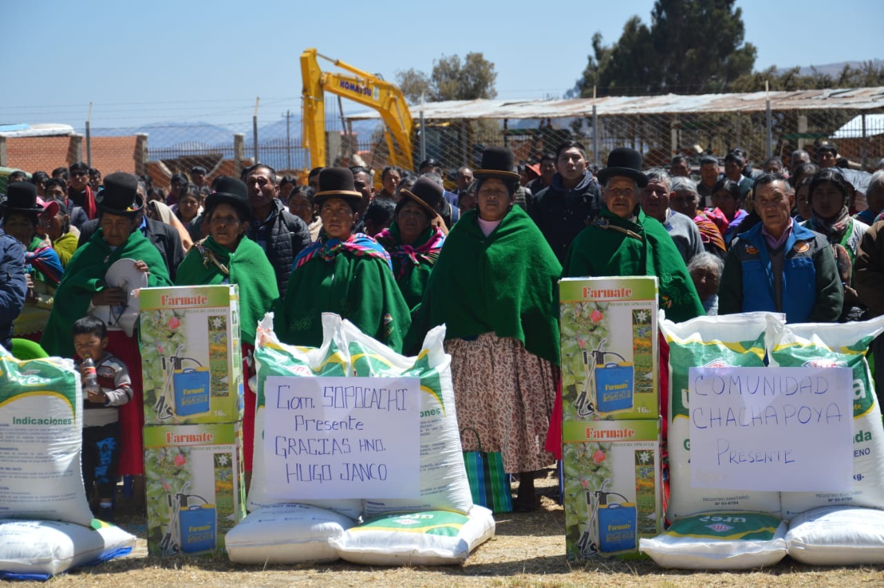 Invierten Bs 1,4 millones para mejorar la producción de haba en Copacabana