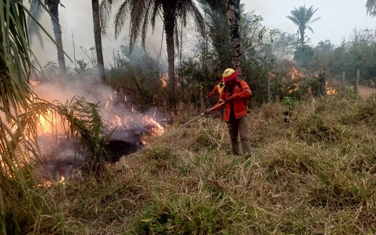 Incendio forestal en el municipio de Concepción, Santa Cruz. Foto: Gobernación de Santa Cruz.