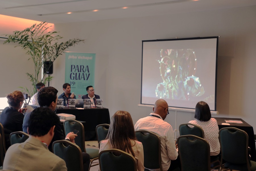 Bolivia promueve su patrimonio cultural en Paraguay