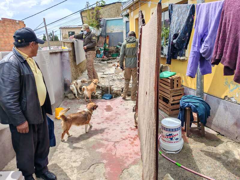 Encuentran gatos muertos en un refrigerador y perros en condiciones de hacinamiento en una casa en La Paz