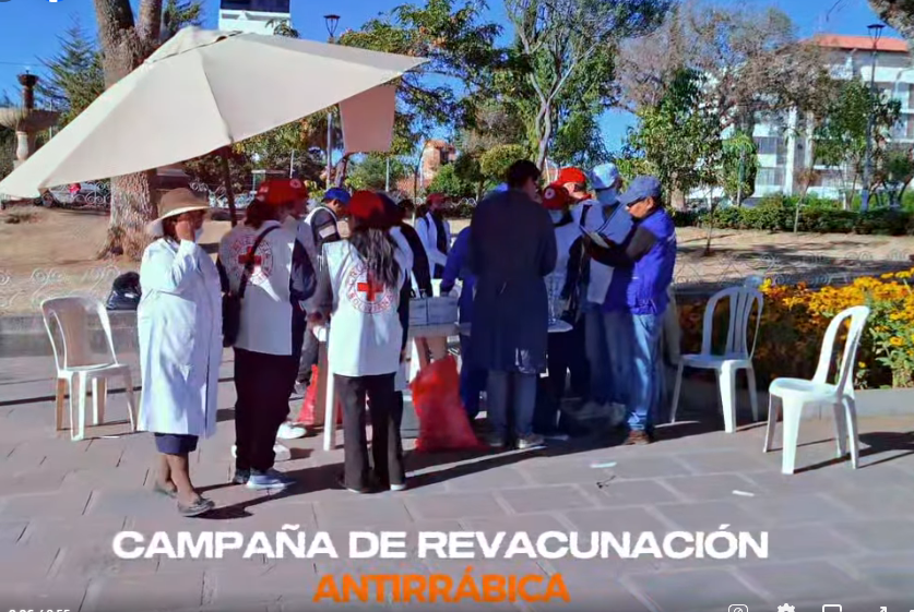 Más de 80 brigadas se movilizarán el fin de semana para revacunar contra la rabia a mascotas en Sucre 