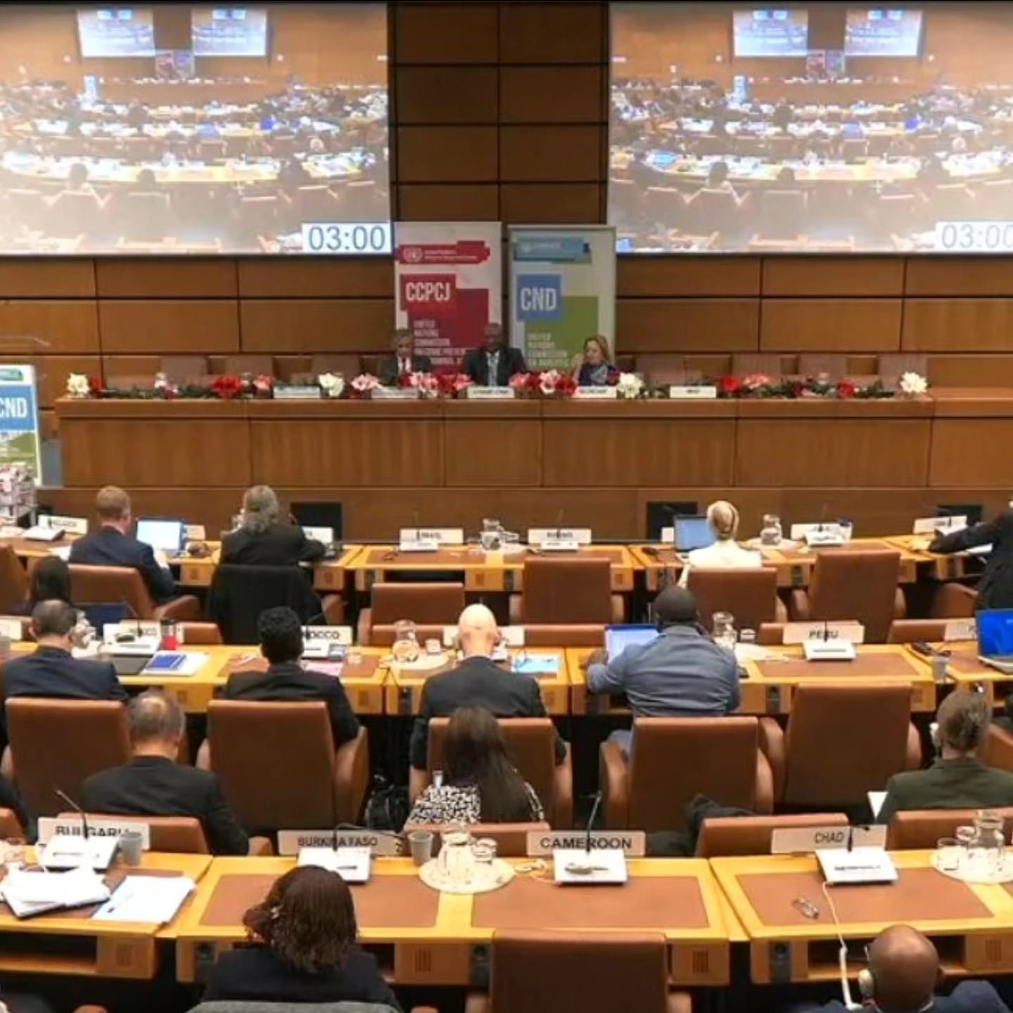 Bolivia solicita en Viena el reconocimiento pleno de la hoja de coca como patrimonio ancestral y su desestigmatización