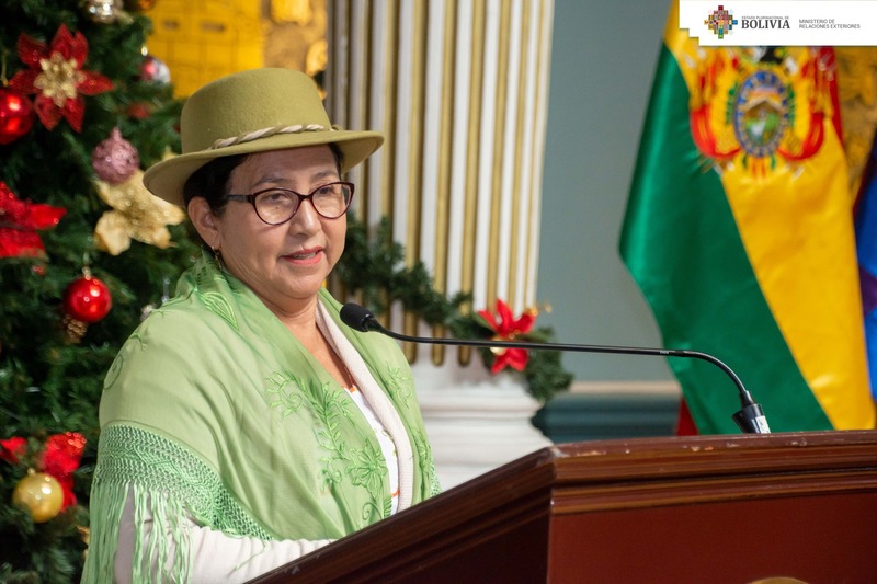 Canciller Sosa suspende parcialmente sus actividades por problema de salud