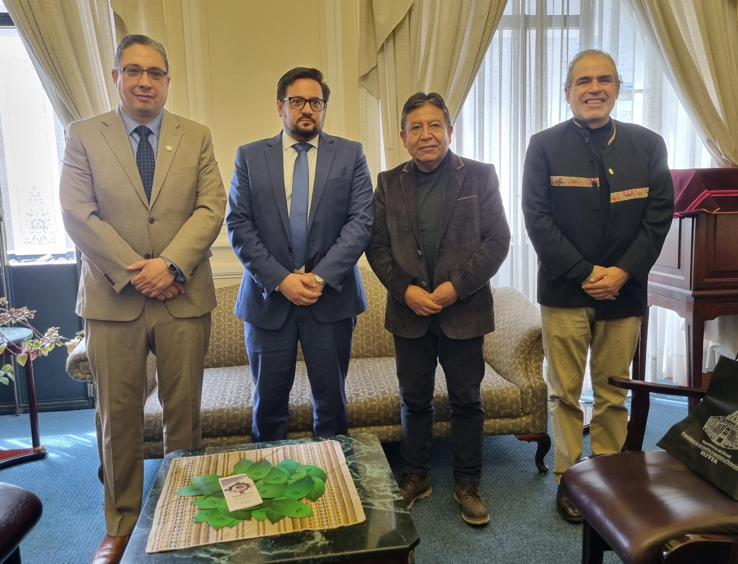 Choquehuanca reafirma compromiso del Gobierno para determinar causas y responsables de incendios forestales