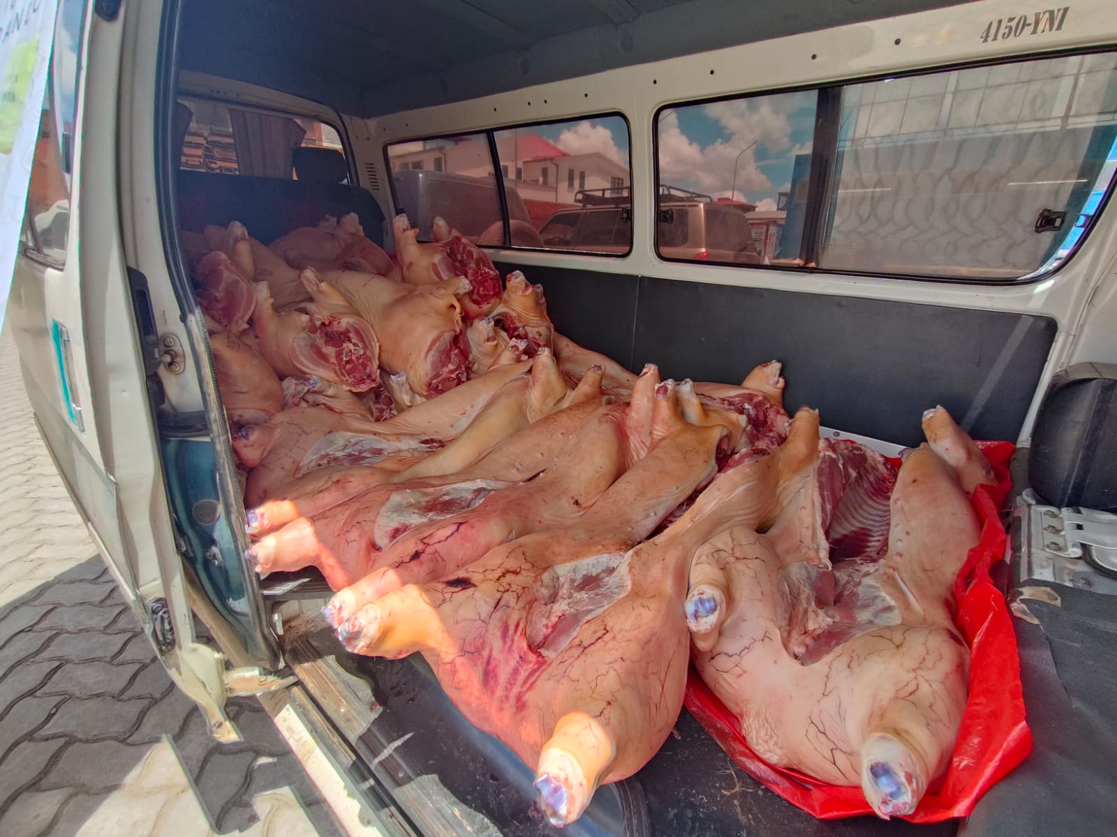 Incautan 5.000 kilos de carne porcina con destino al contrabando en Tiwanaku