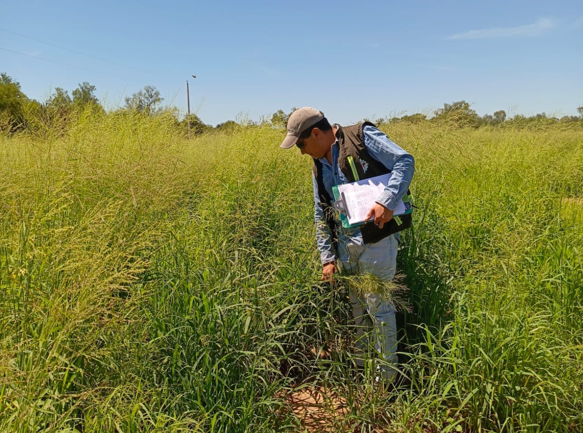 Inspección de técnicos del Senasag en Yacuiba, Tarija. Foto: Senasag Bolivia