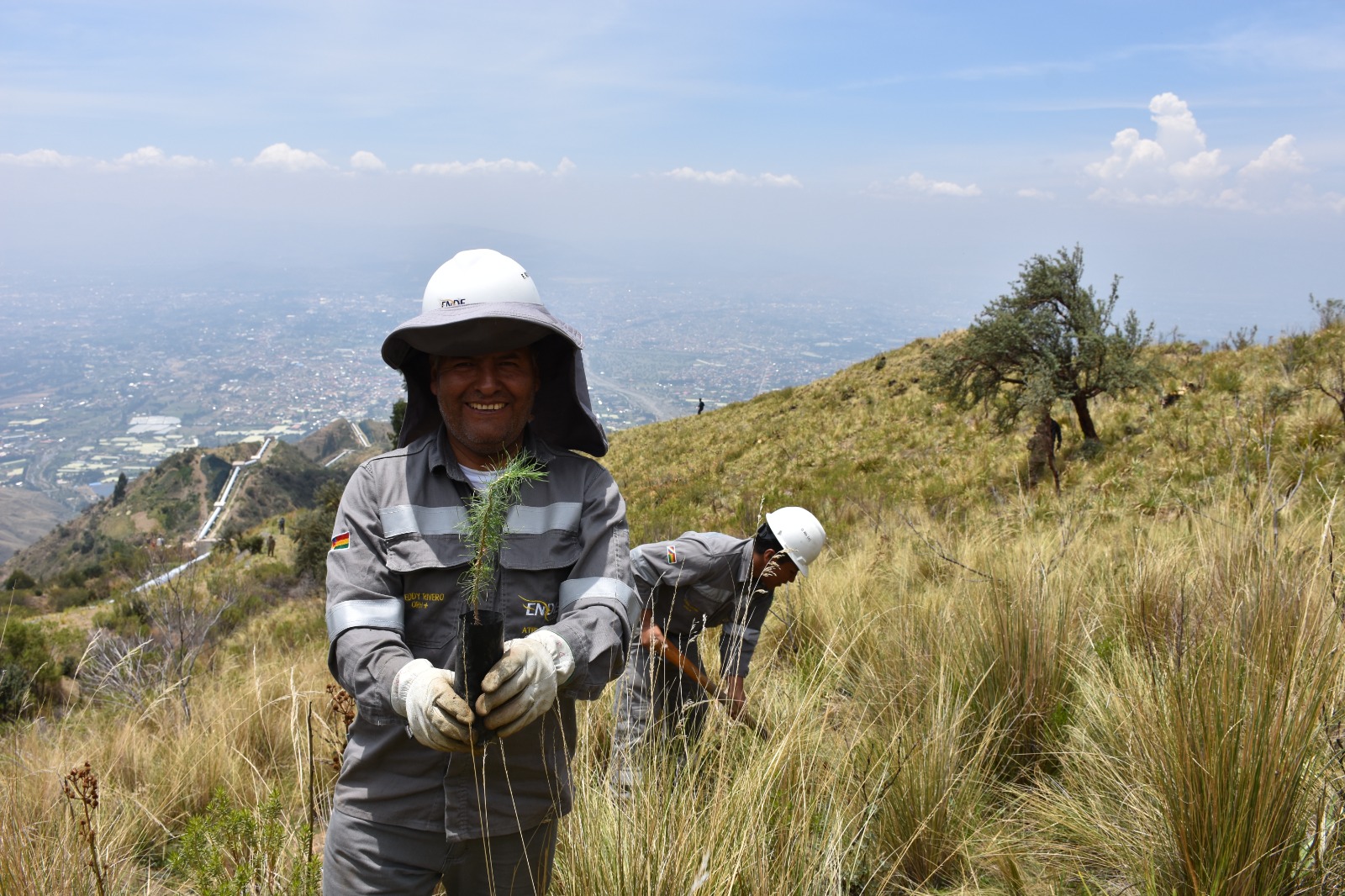 Campaña de ENDE benefició al Parque Nacional Tunari con plantines de kewiña