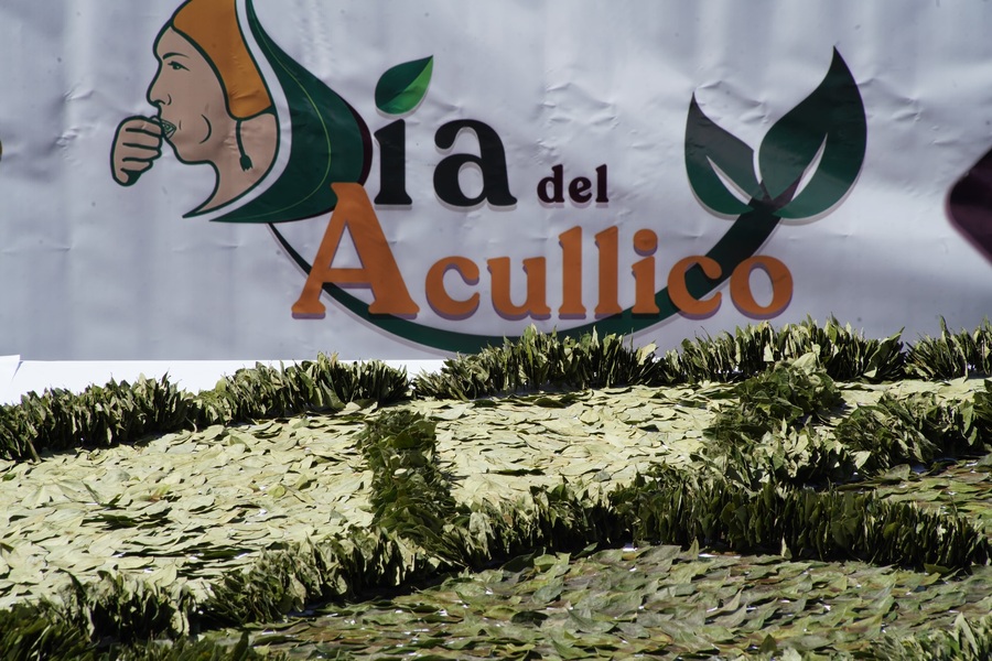 Orellana: Gobierno reafirma el compromiso de revalorizar la hoja de coca y promover su industrialización