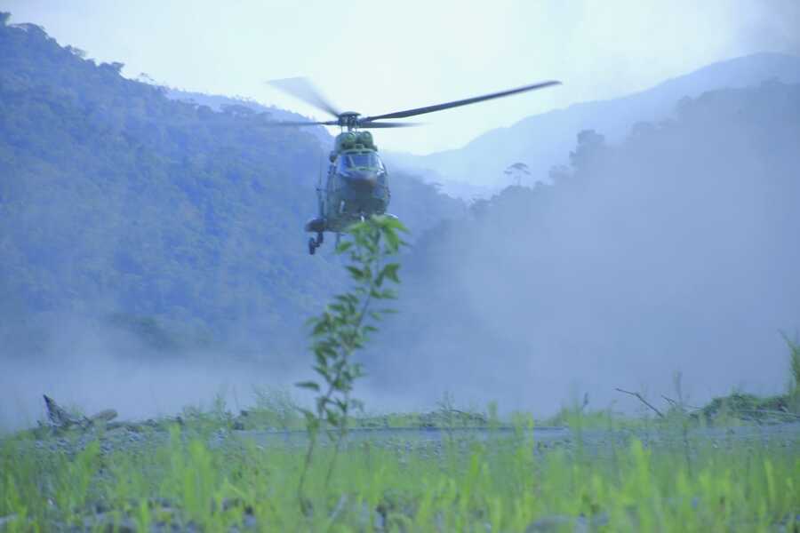 Bolivia proyecta eliminar en su totalidad cultivos ilegales de coca en áreas protegidas