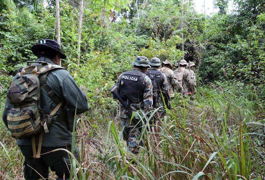 Bolivia proyecta eliminar en su totalidad cultivos ilegales de coca en áreas protegidas 