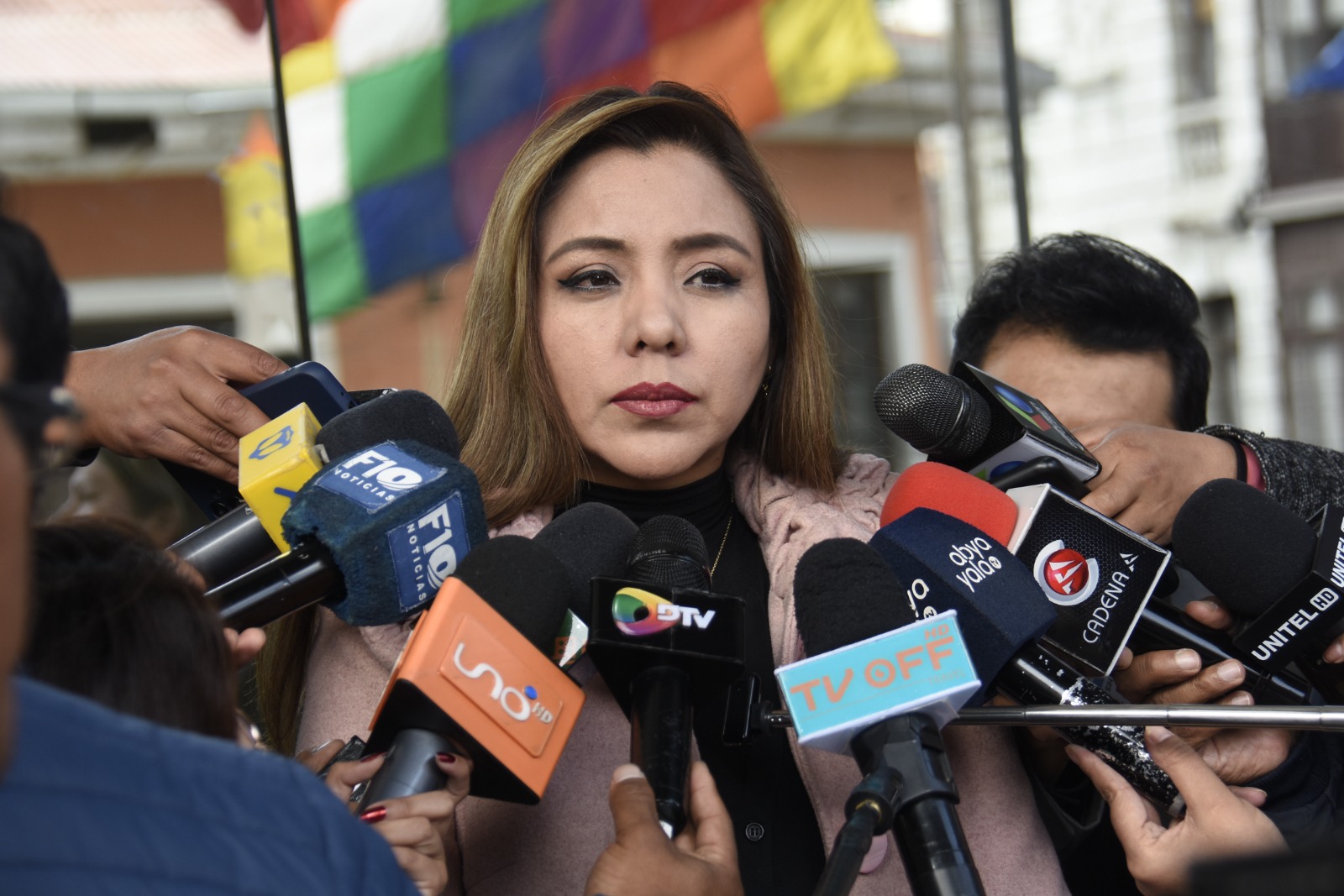 Viceministra convoca al Legislativo a destrabar las elecciones judiciales