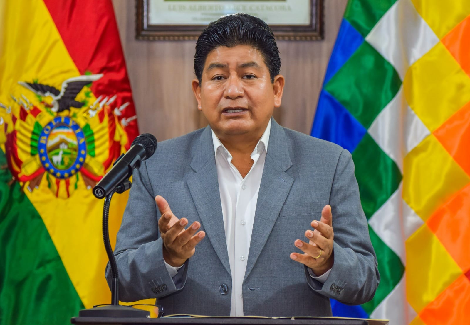 Ministro Montaño pide reflexionar a Evo Morales que está “aferrado” a una candidatura