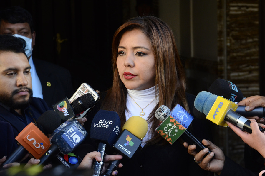Viceministra Alcón garantiza promulgación inmediata de la ley para elecciones judiciales