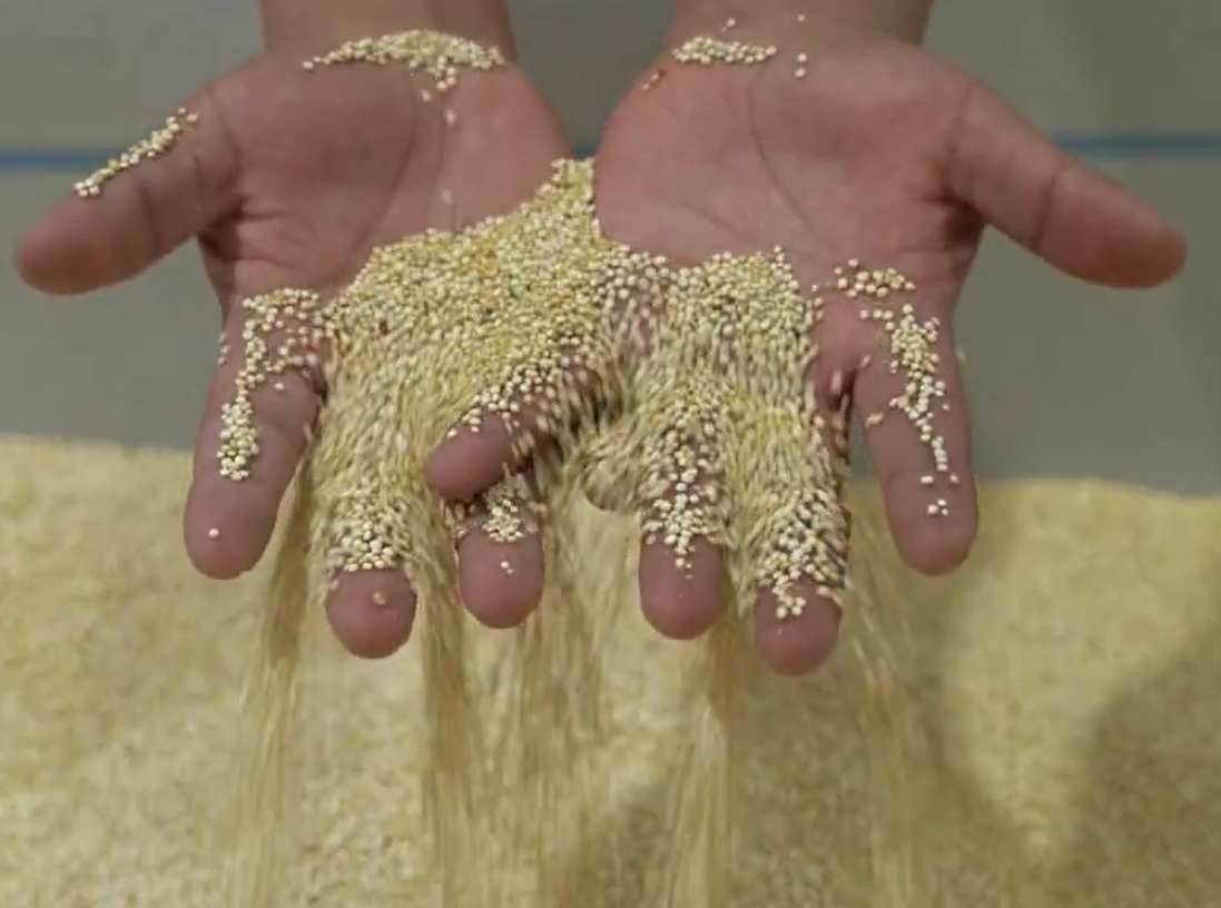 Con créditos y asistencia técnica el BDP mejora la calidad de vida de 14.000 productores orureños