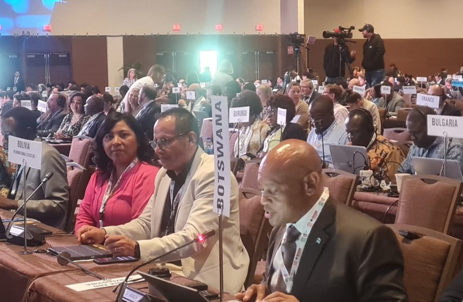 Bolivia presenta avances normativos para el control del tabaco en la COP10