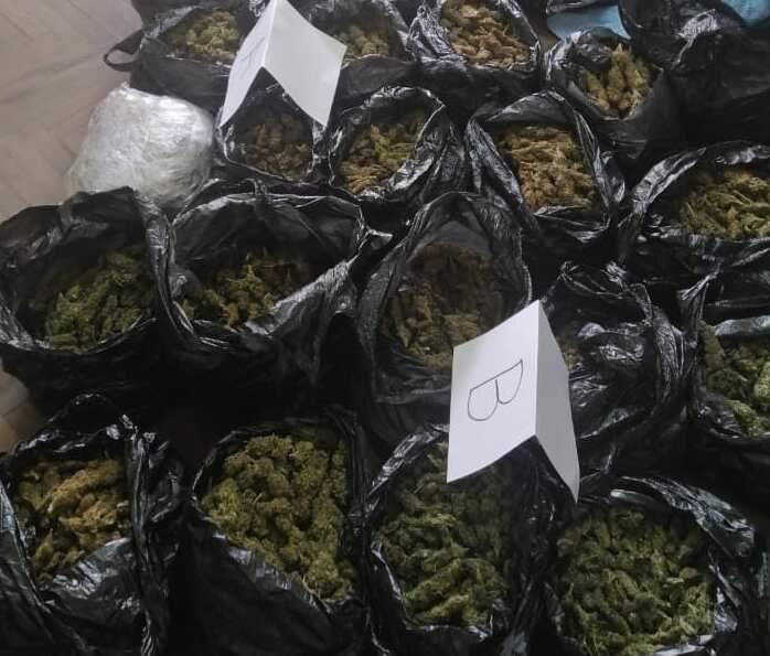 Fiscalía de Cochabamba activa investigación contra hombre que tenía más de 67 kilos de marihuana