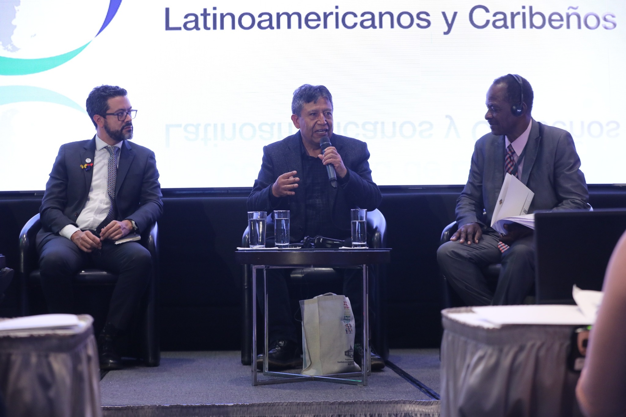 Bolivia convoca a la Celac y a la UE a acompañar las gestiones para activar examen hacia la despenalización de la coca