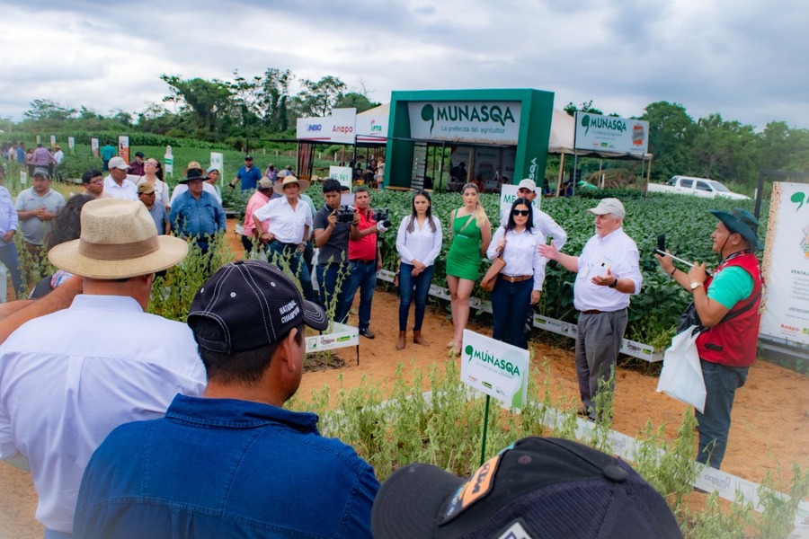 Exposoya 2024 reconoce aporte de la semilla Munasqa en el desarrollo soyero y destaca la entrega de tres nuevas variedades 