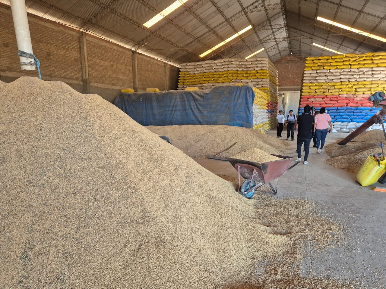 Reforzarán controles en mercados y fronteras para garantizar el abastecimiento del arroz 