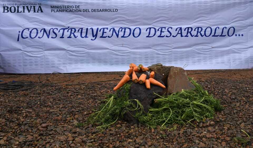 Planta procesadora de zanahoria en Soracachi tiene avance del 95%