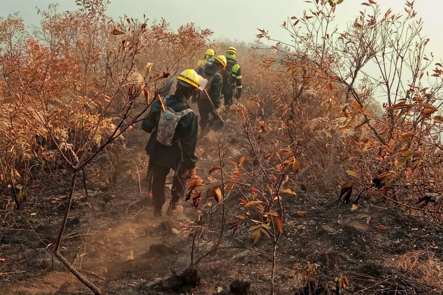ABT inicia 17 procesos penales y emite 131 citaciones de comparendo por quemas e incendios forestales 