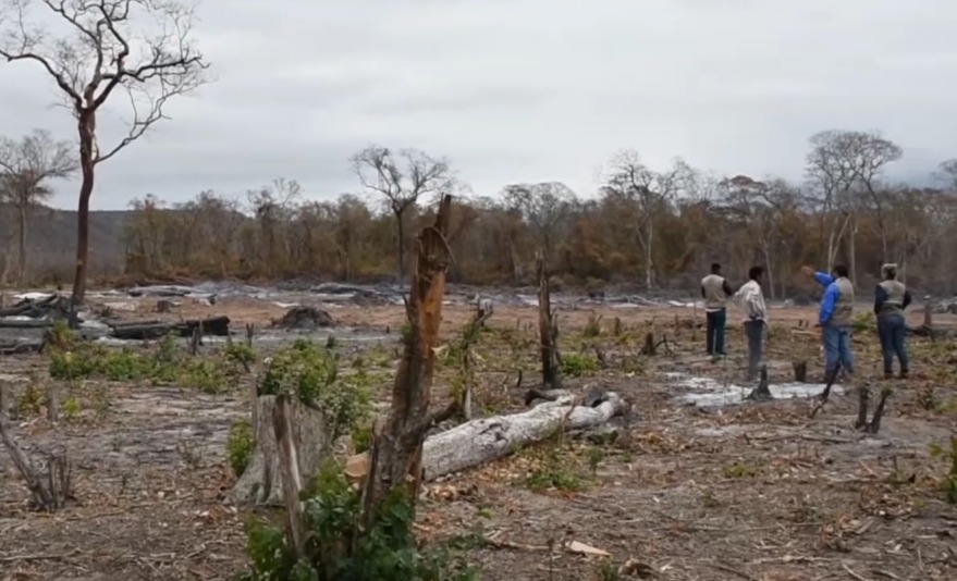 Prohíben las quemas en Santa Cruz, procesos penales por incendios forestales suben a 20