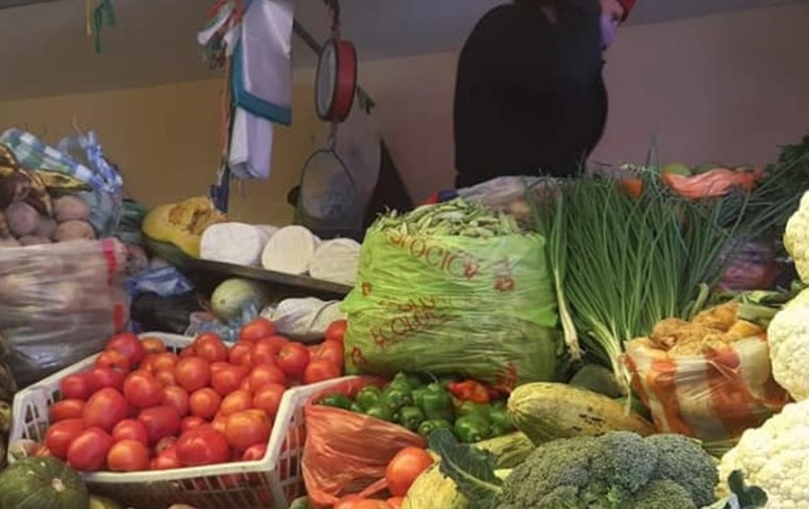 Denuncian contrabando de tomate y cebolla hacia Argentina, Gobierno reactiva Comité de Seguridad Alimentaria 