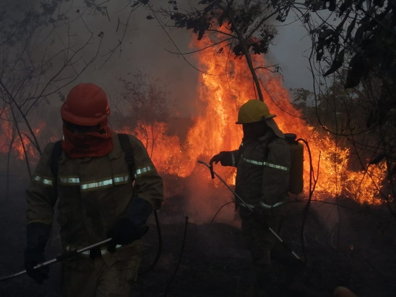 Bolivia registra 3.100 focos de calor, advierten que 59 municipios estarían en riesgo por posibles incendios