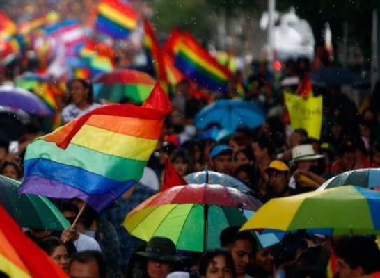 Sentencia Constitucional instruye fortalecer el acceso a derechos para adolescentes de la comunidad LGBTIQ+