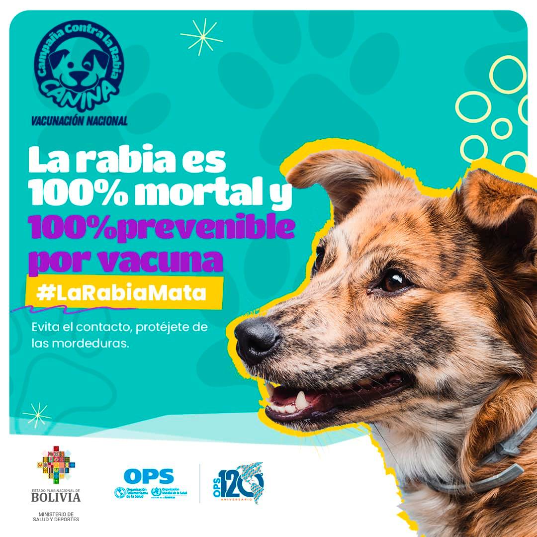 Brigadas móviles vacunan este sábado y domingo contra la rabia a perros y gatos