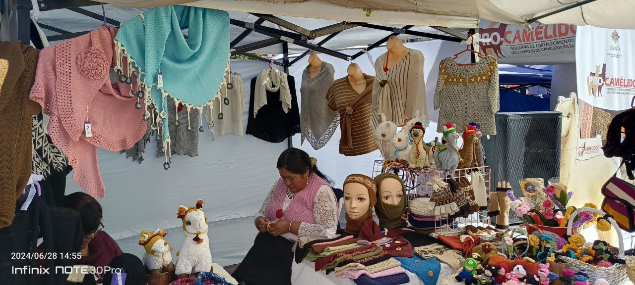 Feria de camélidos y derivados en La Paz, Oruro y Potosí generó ventas por Bs 190 mil