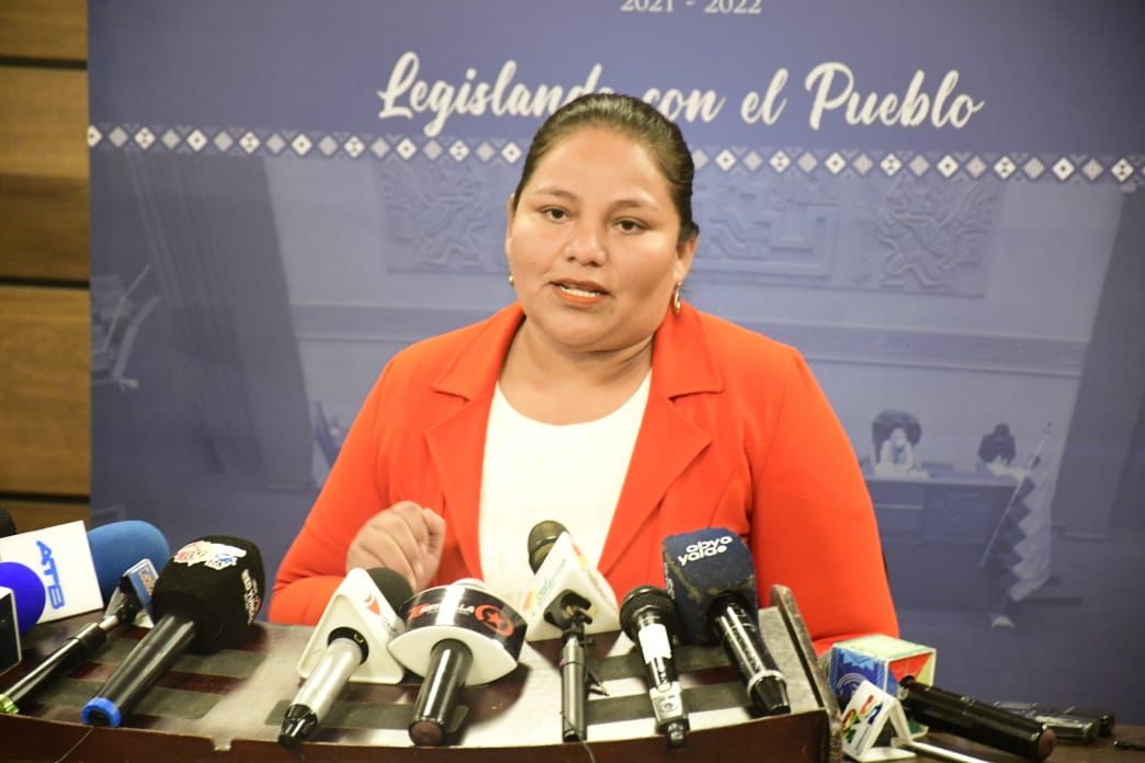 Diputada: Vicepresidente le aclaró a Andrónico que no procede convocar a sesión para debatir leyes anti prórroga