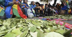 OMS examina pedido boliviano para despenalizar el acullico, Del Castillo valora avances